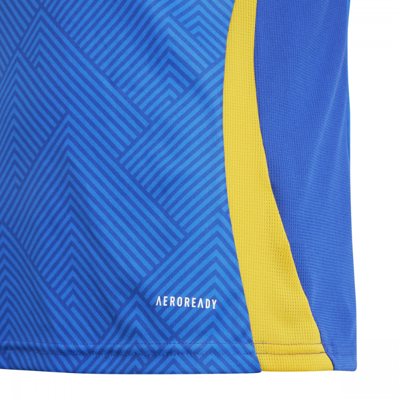 Tigres Away Fan Jersey 2024/2025