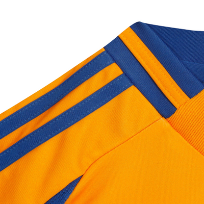 Kids Kit Tigres Home 2024/2025