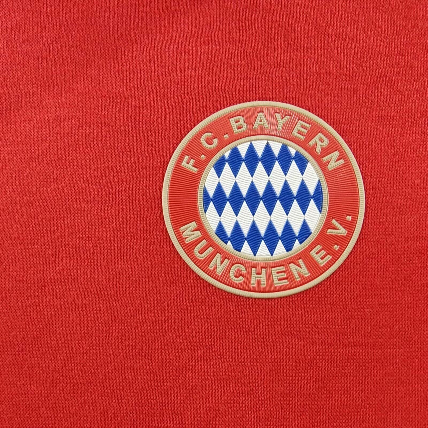 Bayern Munich 24/25 Hoodie