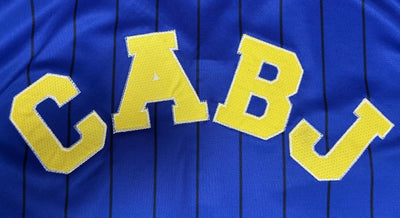 Boca Juniors 25/26 baseball Blue Jersey Version Fan