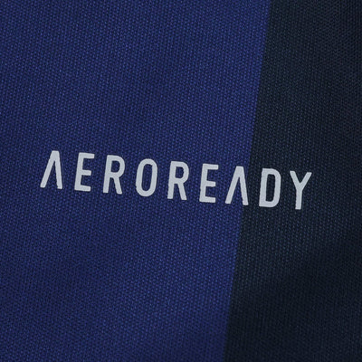 Fenerbahçe Home Jersey 2025/2026 - Version Player