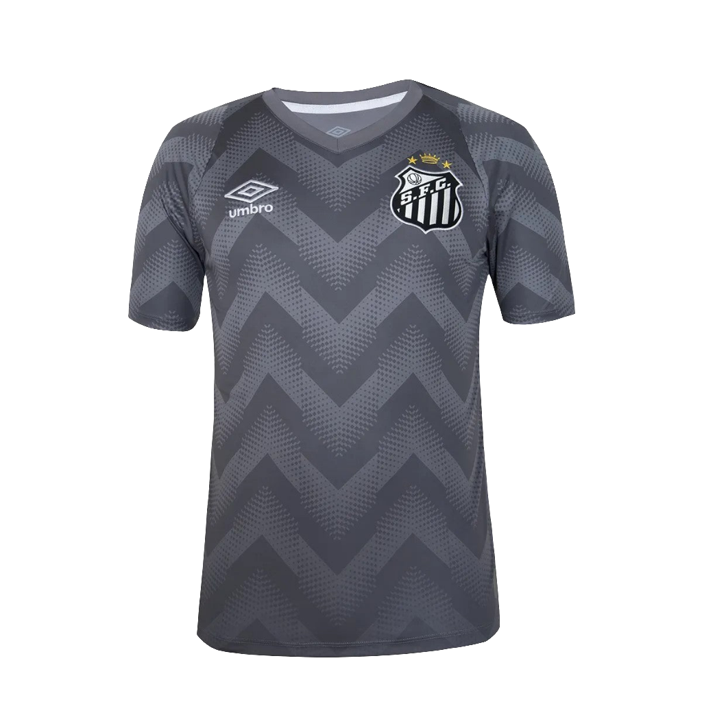 Santos 24/25 Goalkeeper Jersey - Gray - Fan Version