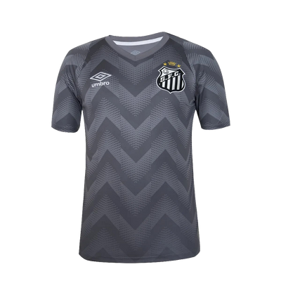 Santos 24/25 Goalkeeper Jersey - Gray - Fan Version